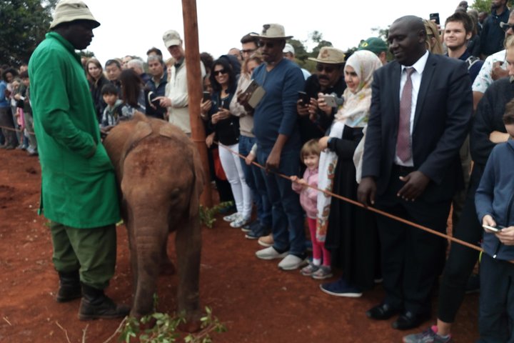 Nairobi Park, Elephants, Giraffe Center And Bomas