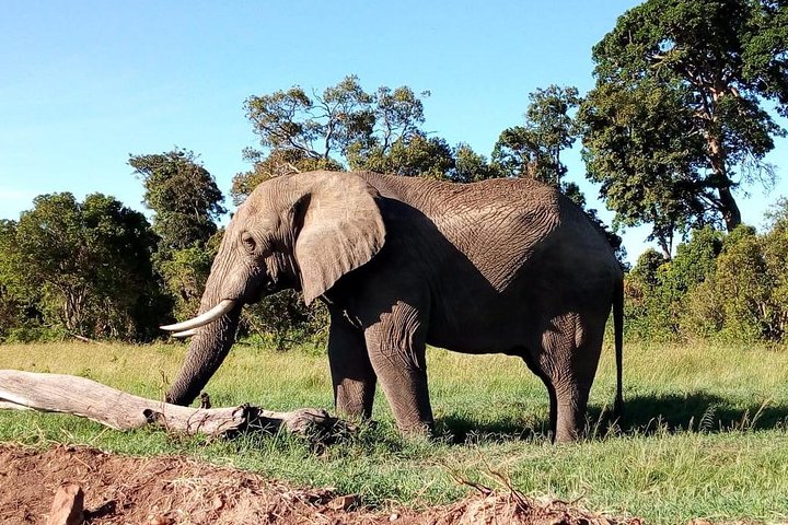 Tsavo East 3 days safari